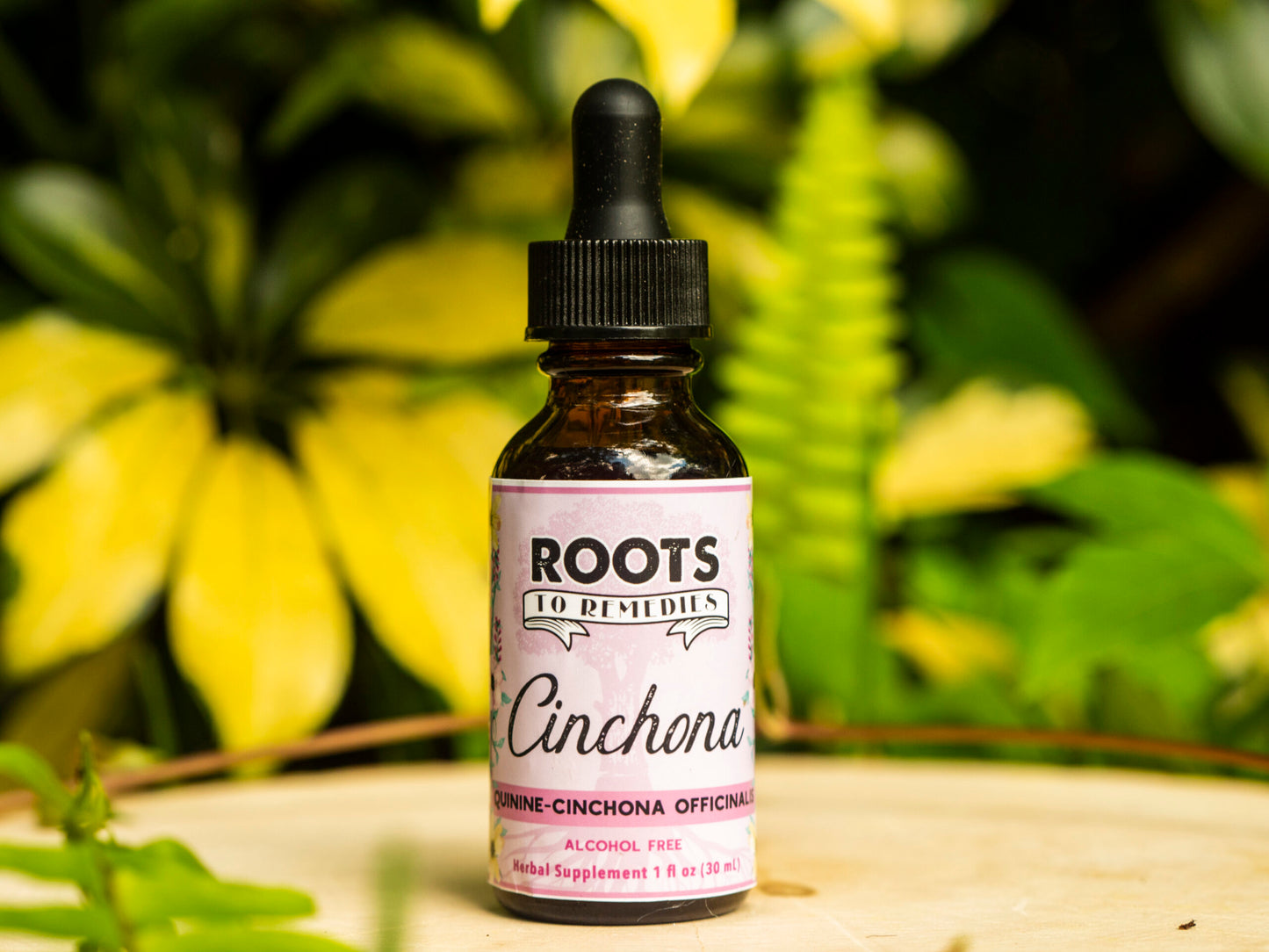 CINCHONA “QUININE” HERBAL EXTRACT