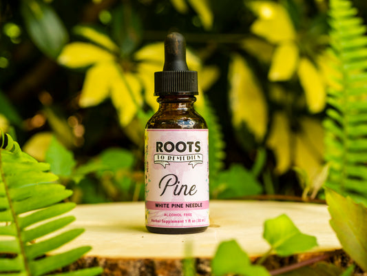 PINE NEEDLE HERBAL EXTRACT