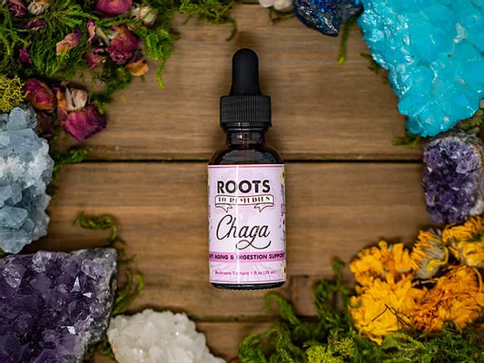 CHAGA MEDICINAL MUSHROOM TINCTURE