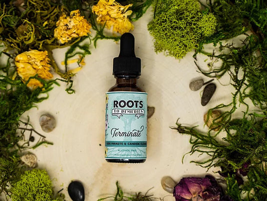 “TERMINATE” KIDS PARASITE AND CANDIDA CLEANSE HERBAL EXTRACT