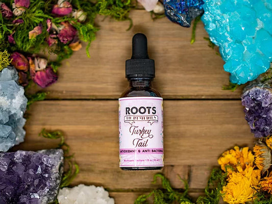 TURKEY TAIL MEDICINAL MUSHROOM TINCTURE