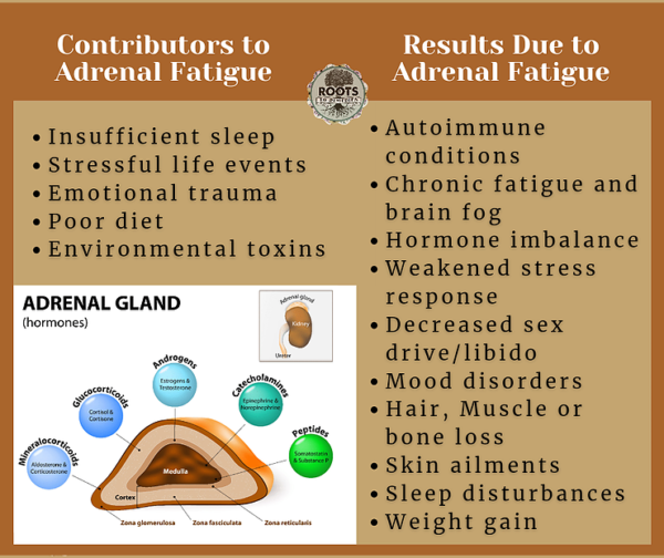 UNRAVELING ADRENAL FATIGUE
