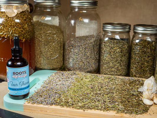 “FOUR THIEVES” ANTIBIOTIC ALTERNATIVE OXYMEL